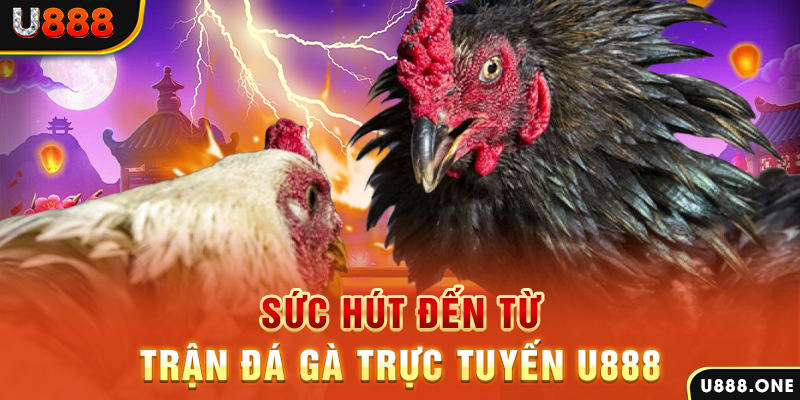 j88dl đá gà trực tiếp c1