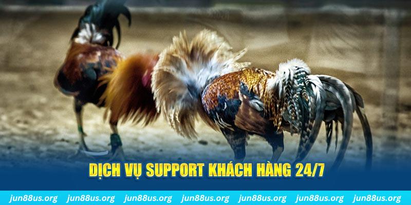 j88dl ÁT CHỦ BÀI GIÀNH LẤY ZHUANG NIUNIU ( XEM 4 LÁ )