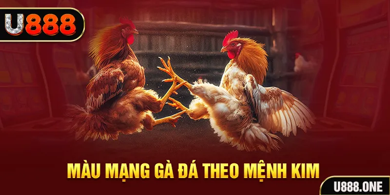 j88dl Cỡ bảy
