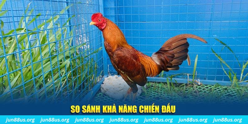 j88dl CQ9 Điện Tử