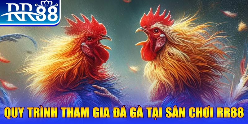 j88dl đá gà cam 67