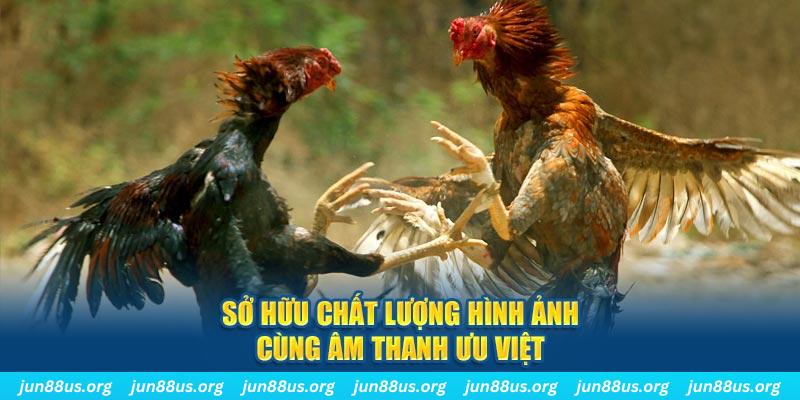 j88dl PP Điện Tử