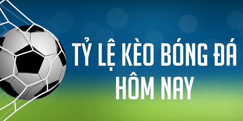 j88dl gà chọi c1 mới nhất