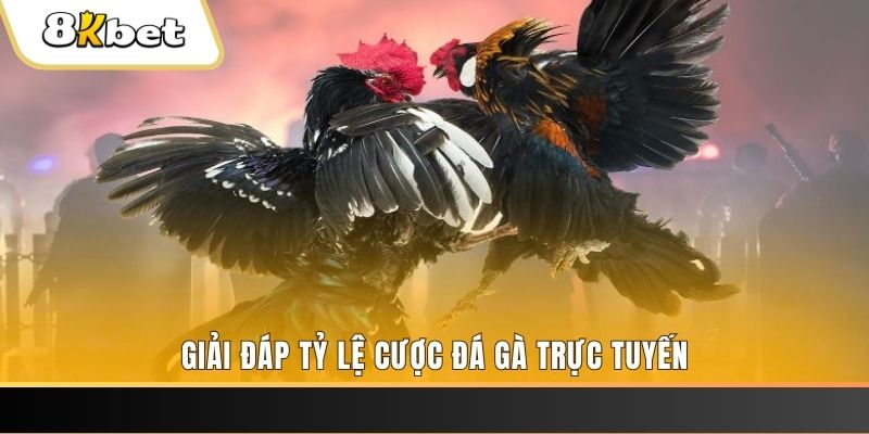 j88dl xổ số đài miền trung