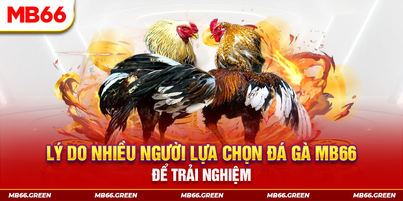 j88dl xổ số miền bắc thứ bảy hàng tuần