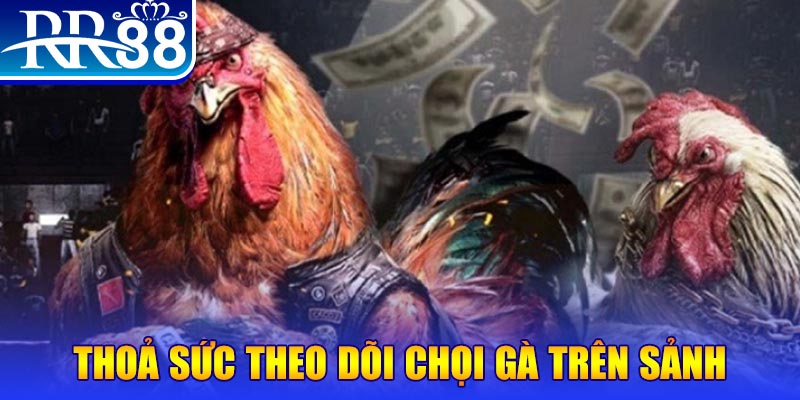 j88dl trực tiếp đá gà c1