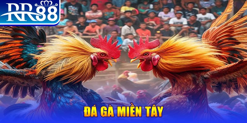 j88dl no hu doi thuong ai