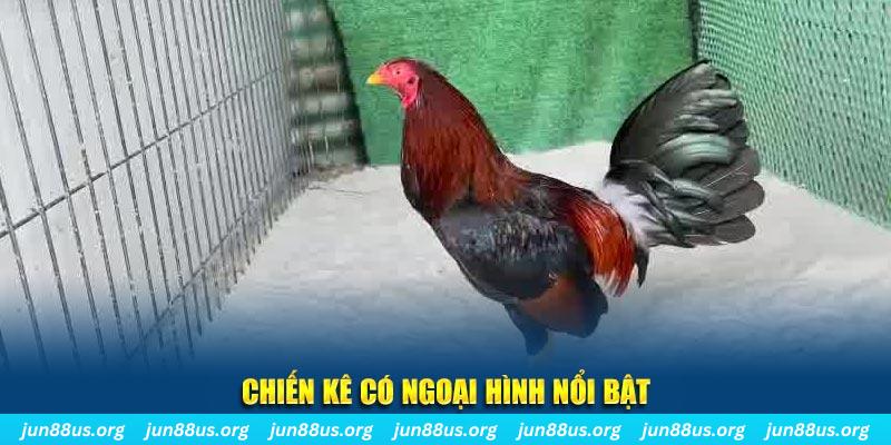 j88dl game nổ hũ là gì