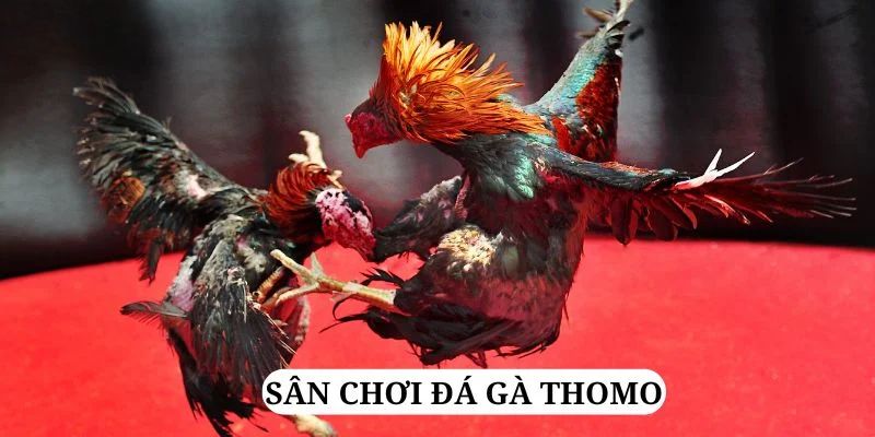 j88dl trực tiếp xổ số miền bắc